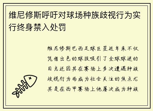 维尼修斯呼吁对球场种族歧视行为实行终身禁入处罚